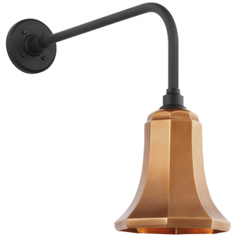 Academy 20'' Rex Barn Light (279|TOB 2809MBK/S8-SC)