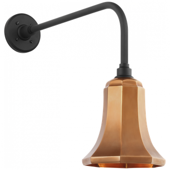 Academy 20'' Rex Barn Light (279|TOB 2809MBK/S8-SC)