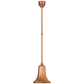 Academy 9.25'' Savannah Pendant (279|TOB 5816SC-SC)