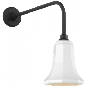 Academy 20'' Rex Barn Light (279|TOB 2809MBK/S8-WHT)