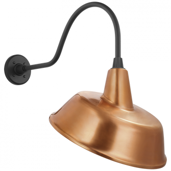 Academy 23'' Flynn Barn Light (279|TOB 2802MBK/S4-SC)