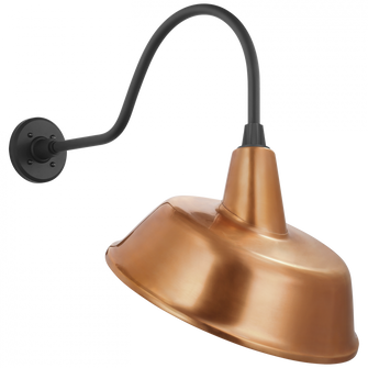 Academy 23'' Flynn Barn Light (279|TOB 2802MBK/S4-SC)