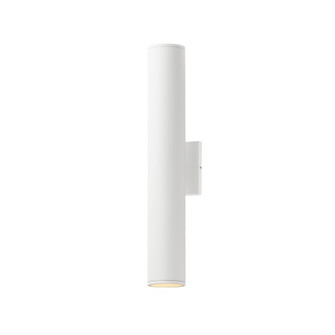 Caldera-Outdoor Wall Mount (19|86225WT)