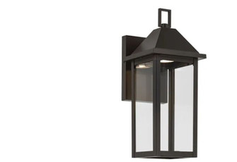 Prin 14 Inch 1 Light Outdoor DarkSky Wall Light with Clear Glass in Olde Bronze (2|59157OZDS)