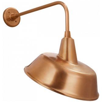 Academy 20'' Rex Barn Light (279|TOB 2809SC/S4-SC)