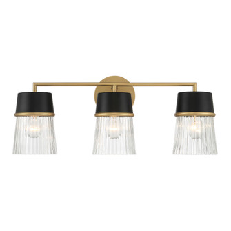 Stamford 24'' 3-Light Vanity (10|1903-876)