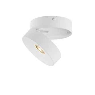 Swinger-Flush Mount (19|86243WT)