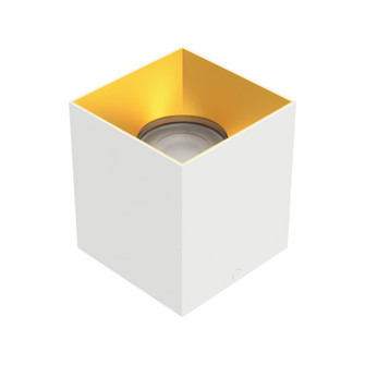 Zoron Square Flush Mount (1357|C4SL-NCS-WTGL)