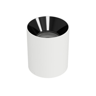 Zoron Round Flush Mount (1357|C4RL-FCS-WTBK)