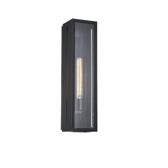 Briarwood Small 1-Light Outdoor Wall Sconce (254|FSN-7691W-CLER-MBLK)