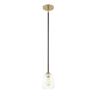 Arcwell 1-Light Pendant (254|FSN-8103-CLER-MBBR)