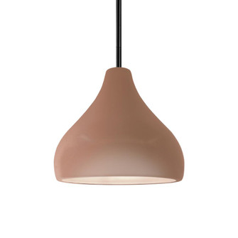 Small Droplet 1-Light Pendant (254|CER-6560-ADOB-MBLK-RIGID)