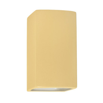 Small LED Rectangle - Closed Top (Outdoor) (254|CER-0910W-MYLW-LED1-1000)