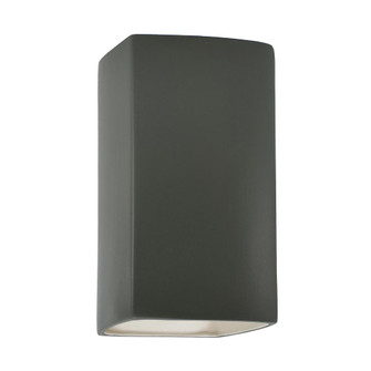 Small ADA Outdoor LED Rectangle - Open Top & Bottom (254|CER-5915W-PWGN)