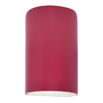 Large ADA Outdoor LED Cylinder - Open Top & Bottom (254|CER-5265W-CRSE)