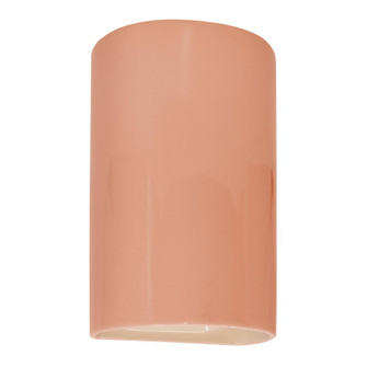 Large ADA Outdoor LED Cylinder - Open Top & Bottom (254|CER-5265W-BSH)