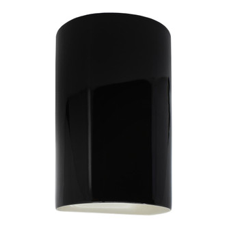 Large ADA Outdoor LED Cylinder - Open Top & Bottom (254|CER-5265W-BKMT)