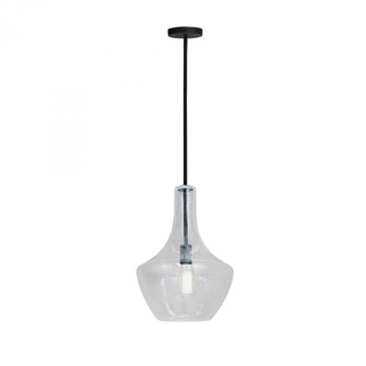 Harlow 12'' Pendant (254|FSN-4170-SEED-MBLK)