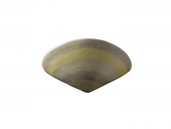 Clam Shell (254|CER-3710-SEAC)