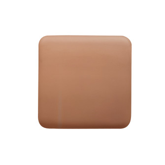 Small 10'' Square Backlit ADA Color Temperature Selectable LED Wall Sconce (254|CER-5112-ADOB)