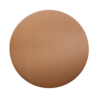 Large 16'' Round Backlit ADA Color Temperature Selectable LED Wall Sconce (254|CER-5107-ADOB)