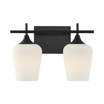 Octave 2-Light Bathroom Vanity Light in Matte Black (128|8-6030-2-BK)