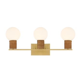 Jarrell 3-Light Bathroom Vanity Light in Warm Brass (128|8-4081-3-322)