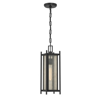 Jacobs 1-Light Outdoor Hanging Lantern in Matte Black (128|5-3806-BK)