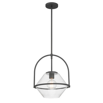 Coralyn 13.25'' 1-Light Pendant (10|11895-899)