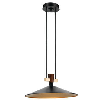 Pendant 1Lt (2|52832BKLED)