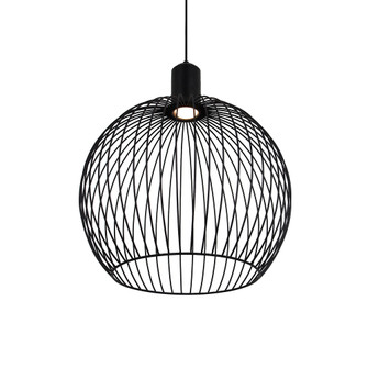 Orland 19'' LED Globe Cage Pendant (254|NSH-7011-MBLK)