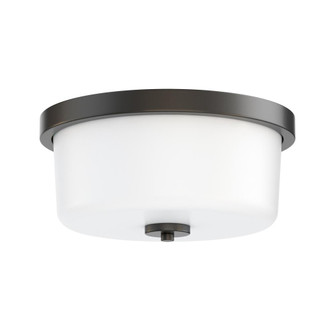 Fuller-Flush Mount (19|5691WTBK)