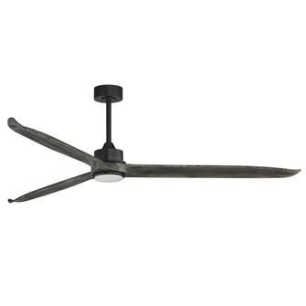 Woodwind-Indoor Ceiling Fan (19|88834WTBKGWD)