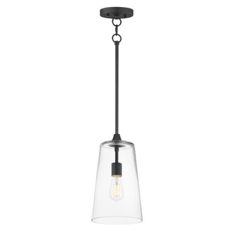 Hudson-Single Pendant (19|12886CLBK)