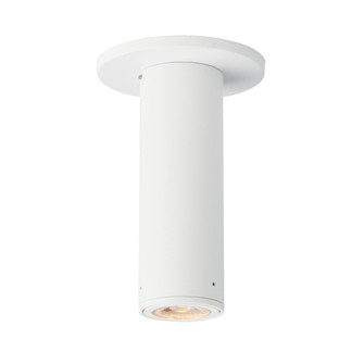 Fulcrum-Flush Mount (19|86251WT)