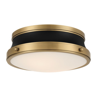 Purelight 15'' 2-Light Flush Mount (10|3939-876)