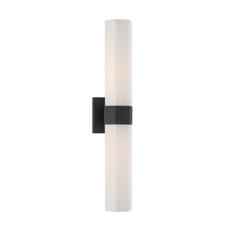 Delgada 24'' 2-Light Bath Bar (10|12122-899)