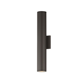 Caldera 20'' Outdoor Wall Sconce (19|86225ABZ)