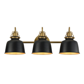 Hollis 3-Light Sconce (19|21423BKNAB)