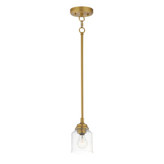 Acadia 1-Light Pendant (19|91260CDNAB)