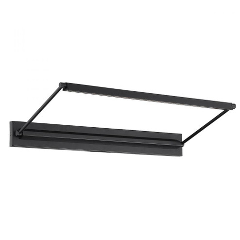 HUDSON 24IN PICTURE LIGHT (1357|PL-LED23-30-BK)