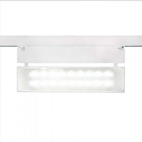 LED42 Wall Washer LED Track Head (1357|WTK-LED42W-40-WT)