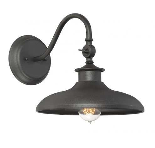 Raleigh 1-Light Outdoor Wall Lantern in Black (128|5-9584-BK)