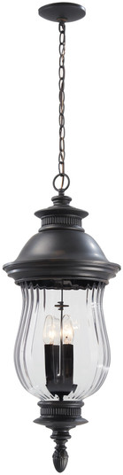 Newport - 4 Light Outdoor Chain Hung (10|8904-94)