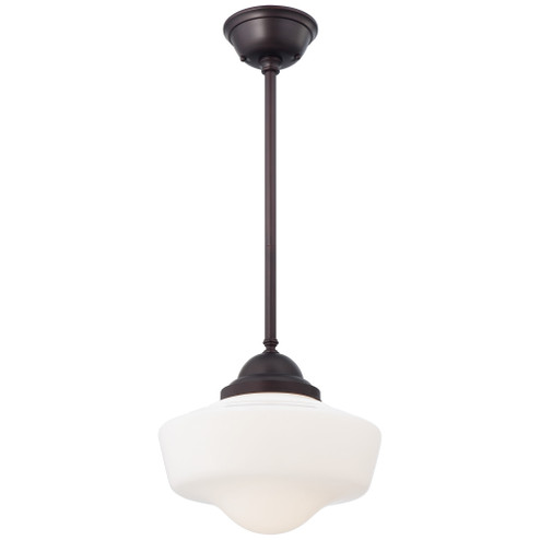 1 Light Pendant (10|2256-576)