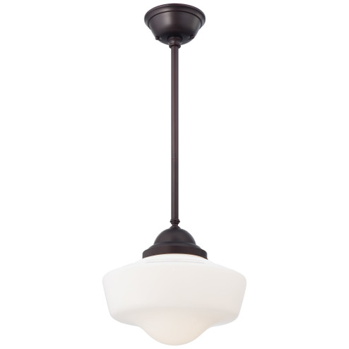 1 Light Pendant (10|2256-576)