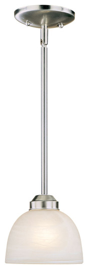 Paradox™ - 1 Light Mini Pendant (10|1421-84)