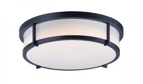 Rogue E26-Flush Mount (19|10270WTBK)