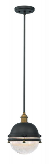 Portside-Outdoor Pendant (19|10184OIAB)
