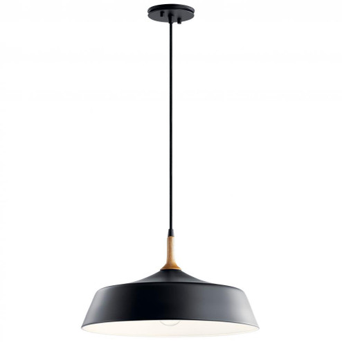 Danika 1 Light Pendant Black (2|43683BK)